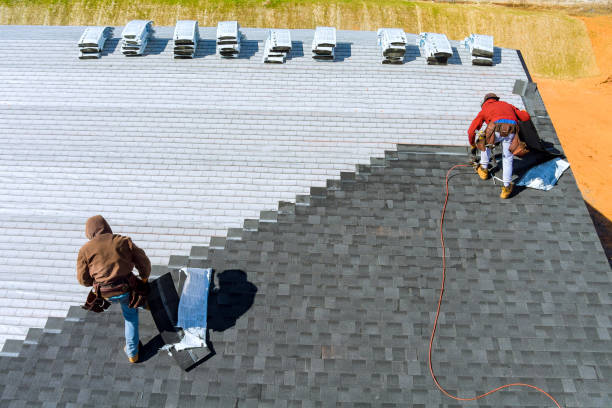 Best Flat Roof Repair Services  in Hanamaulu, HI